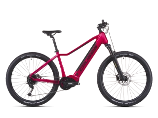 CRUSSIS e-Guera 7.11-(715 Wh) (17)